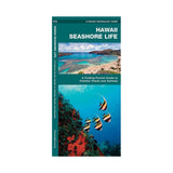 Hawaii Seashore Life - Life Raft Professionals