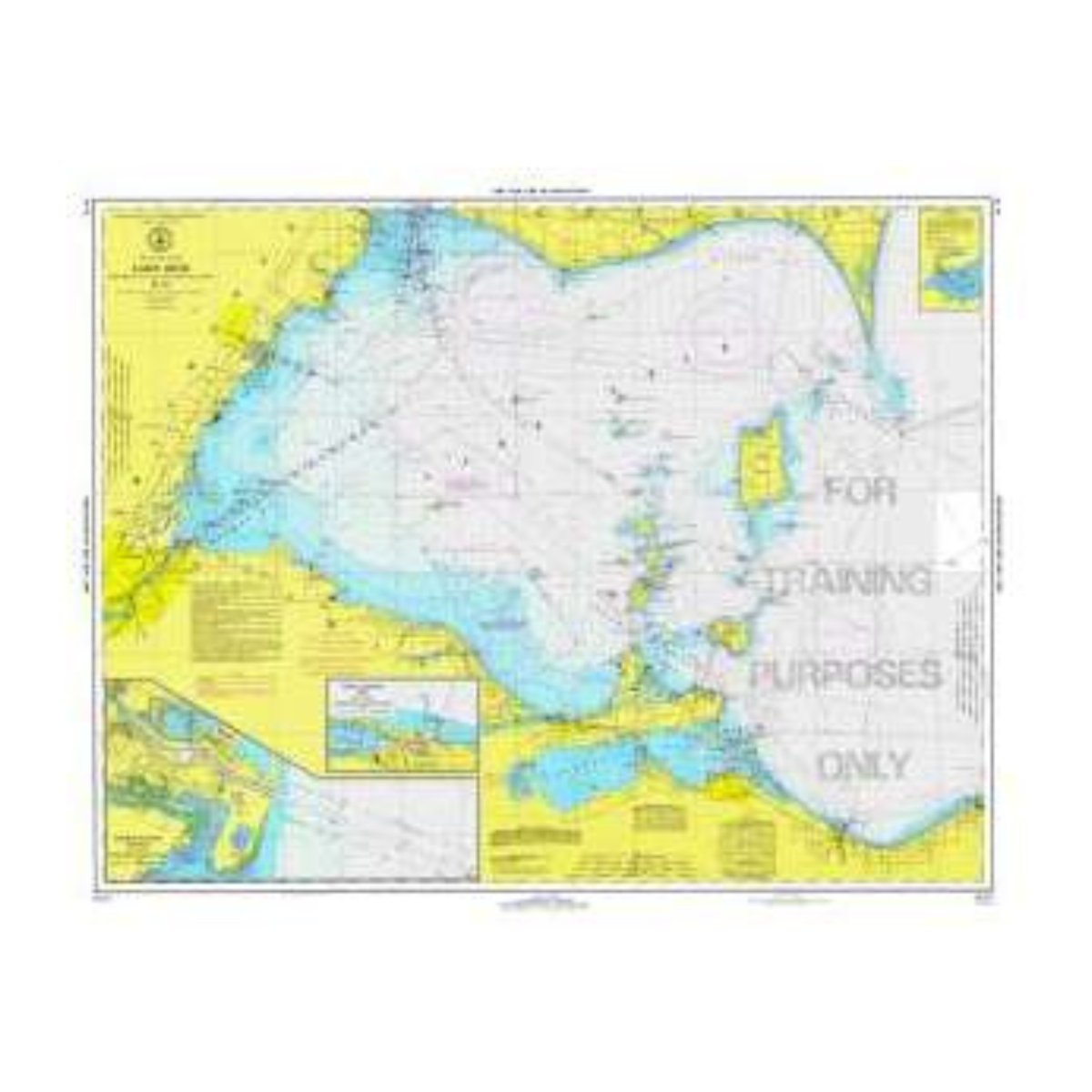 NOAA Training Chart: 39TR Great Lakes, West End Of Lake Erie - Life Raft Professionals