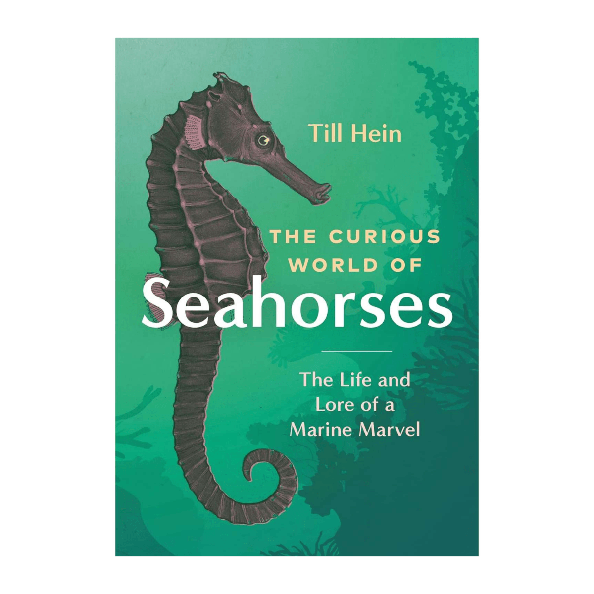 The Curious World Of Seahorses: The Life And Lore Of A Marine Marvel - Book - Life Raft Professionals