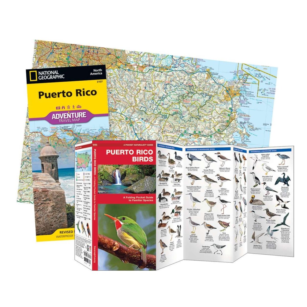 Puerto Rico Adventure Set - Life Raft Professionals