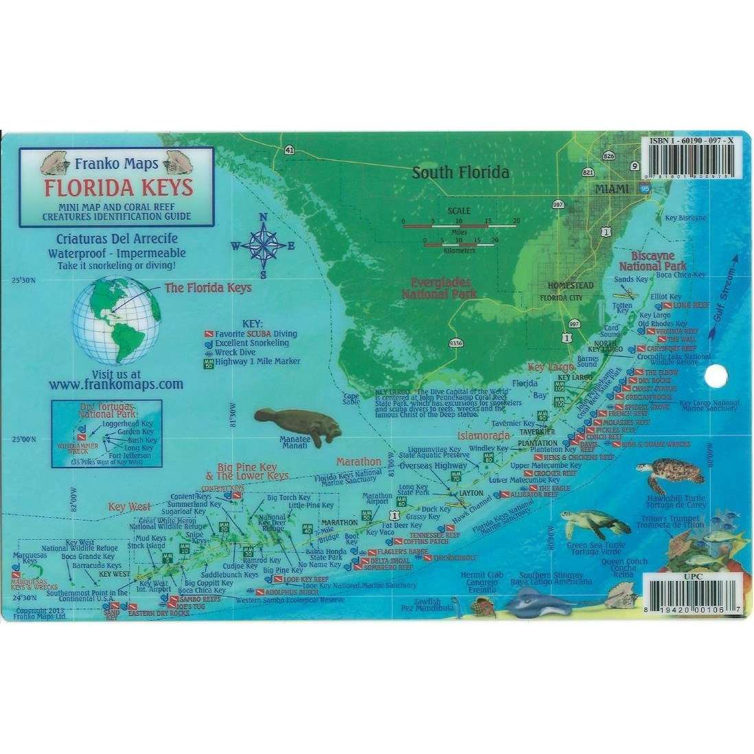 Turks & Caicos Dive Map & Reef Creatures Guide Laminated Card - Life Raft Professionals