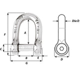 Wichard Self-Locking Allen Head Pin D Shackle - 8mm Diameter - 5/16" - Life Raft Professionals